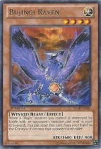 Bujingi Raven #SHSP-EN081