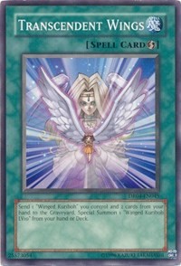 Transcendent Wings #DR04-EN045
