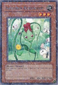 Naturia Rosewhip #DT02-EN071
