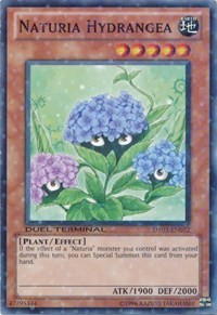 Naturia Hydrangea #DT03-EN072