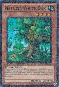 Naturia White Oak #DT04-EN081