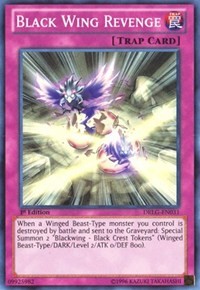 Black Wing Revenge #DRLG-EN031