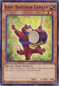 Baby Raccoon Tantan #MP14-EN137