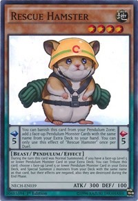 Rescue Hamster #NECH-EN039