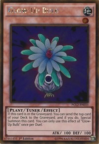 Glow-Up Bulb #PGL2-EN033