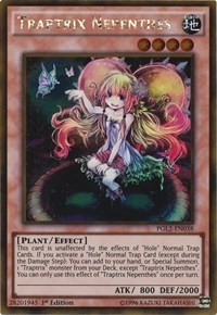 Traptrix Nepenthes #PGL2-EN038